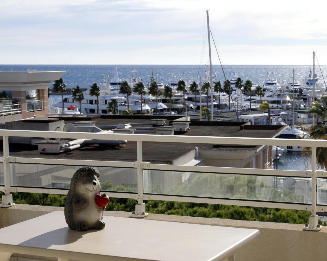 Standing Vue Mer Entre Cannes Et Antibes 戈尔夫瑞昂 外观 照片