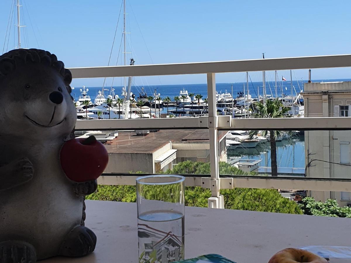 Standing Vue Mer Entre Cannes Et Antibes 戈尔夫瑞昂 外观 照片